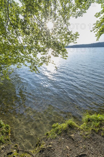 Lakeside in summer