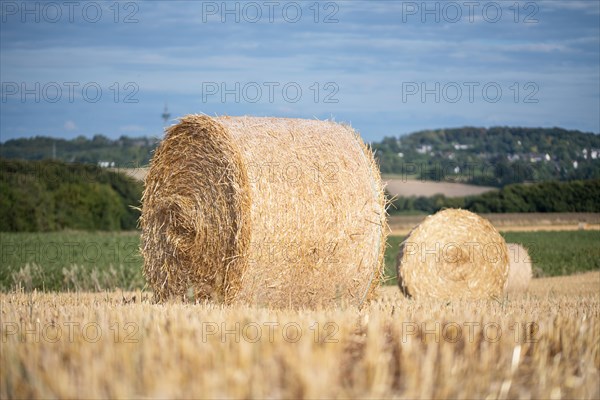 Straw bales