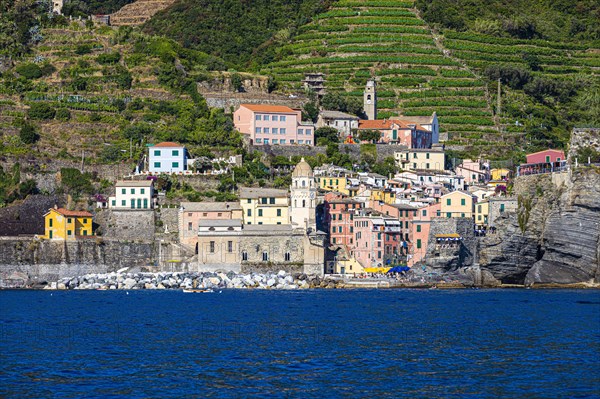 The village of Vernazza with its churches and pastel-coloured houses built into the hillside