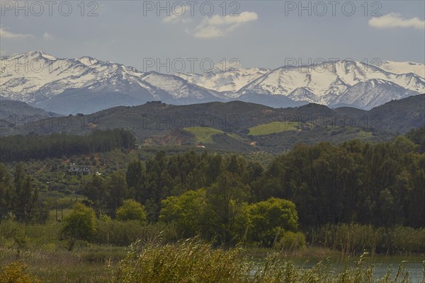 Spring in Crete