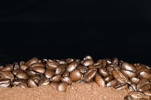 Coffee beans of the Arabica variety lie on ground coffee