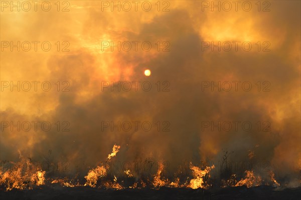 Bushfire in the National Park at sunset