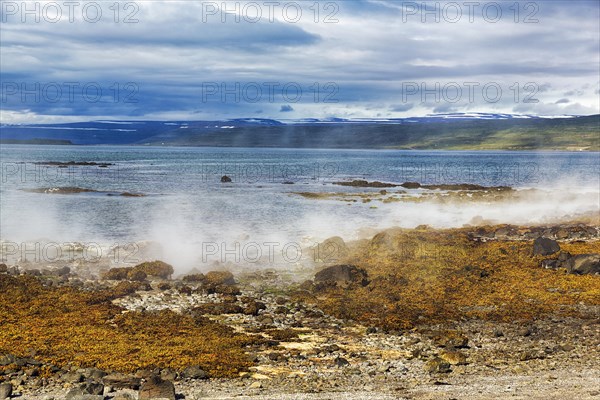 Hot spring flowing into the sea