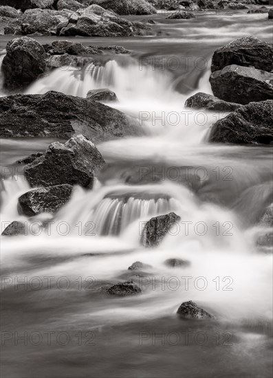 Mountain stream flows over moss-covered stones