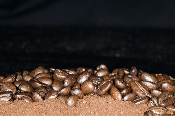 Coffee beans of the Arabica variety lie on ground coffee