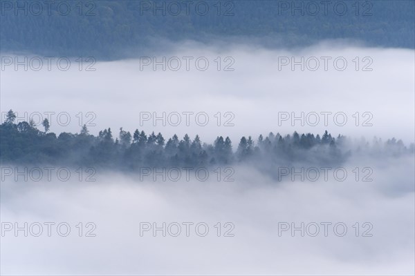 View from Katzenbuckel mountain with morning mist