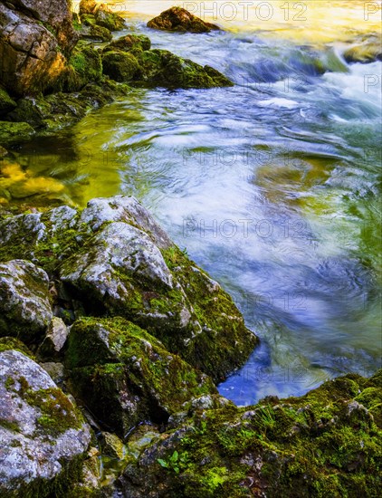 Mountain stream flows over moss-covered stones