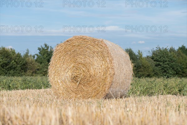 Straw bale