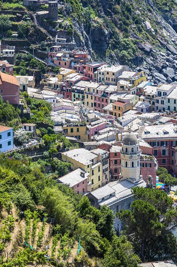 The village of Vernazza with its pastel-coloured houses built into the hillside