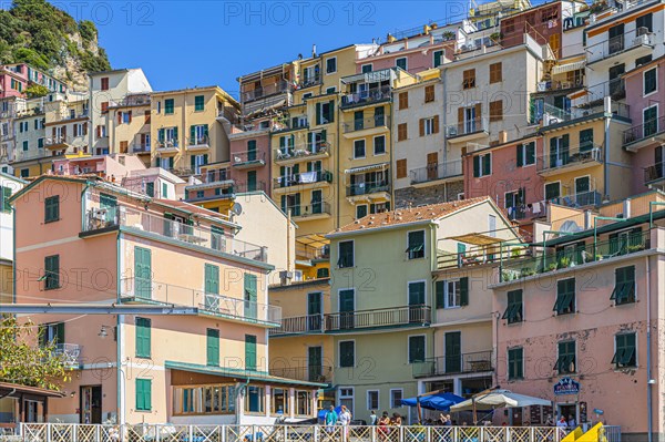 The village of Manarola with its nested pastel-coloured houses built into the hillside