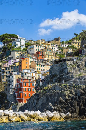 The village of Riomaggiore with its nested pastel-coloured houses built into the hillside