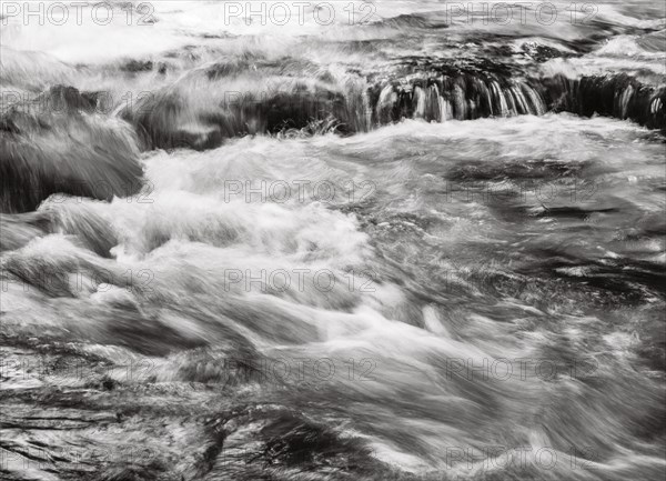 Mountain stream flows over moss-covered stones