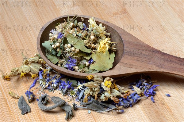 Tea mixture in wooden ladle and medicinal plants