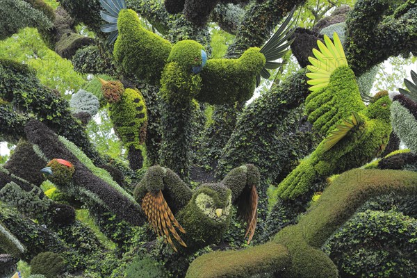 Plant sculpture of birds