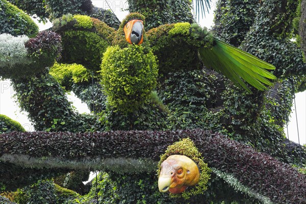 Plant sculpture of birds