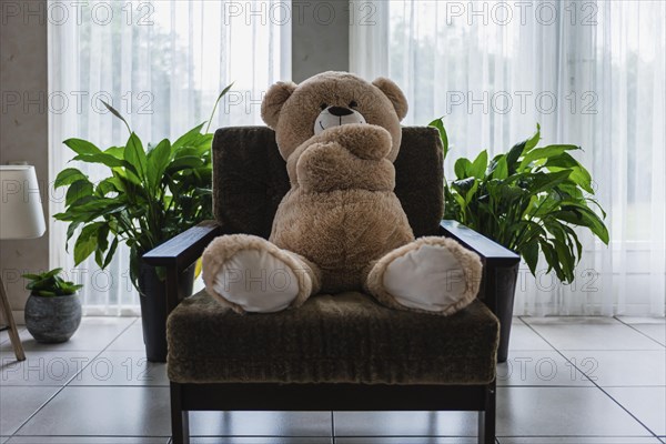 Teddy bear sitting on an armchair in the living room