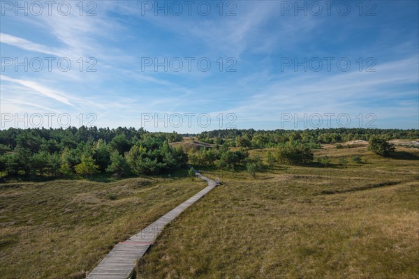 Hohe Warte Zingst