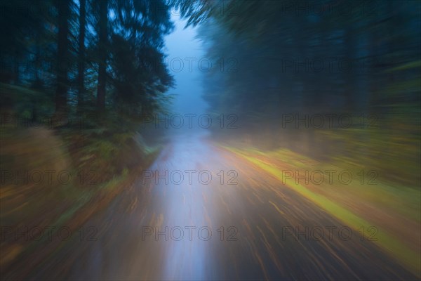 Car driving on autumnal wet road through the forest at dawn