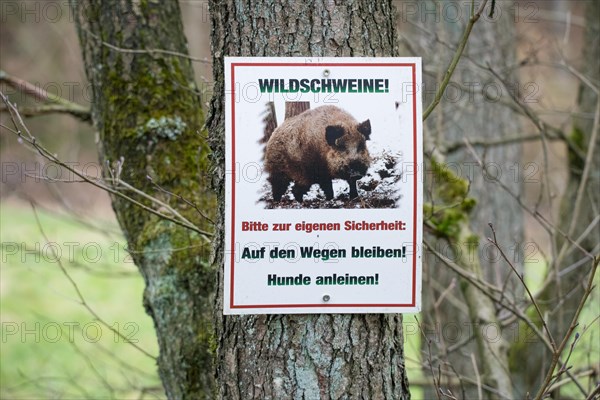 Warning sign against wild boars