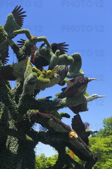 Plant sculpture of birds