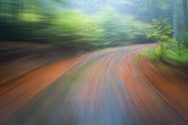 Car driving on autumnal wet road through the forest at dawn