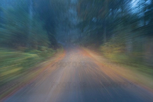 Car driving on autumnal wet road through the forest at dawn