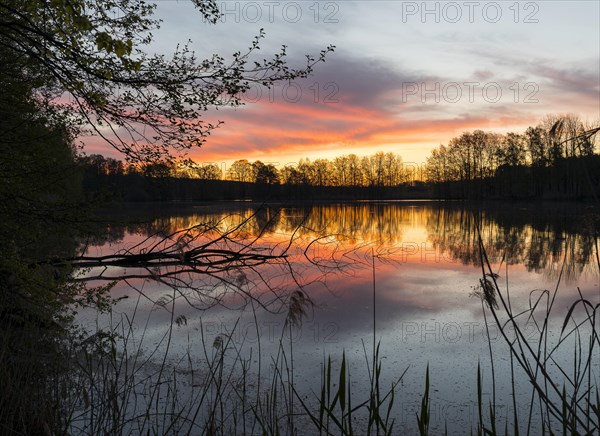 Morning sky in front of sunrise at Heikteich