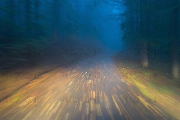 Car driving on autumnal wet road through the forest at dawn