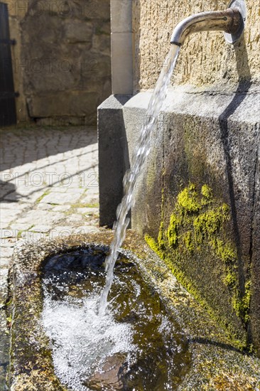 Spring with water basin