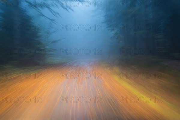 Car driving on autumnal wet road through the forest at dawn