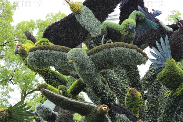 Plant sculpture of birds