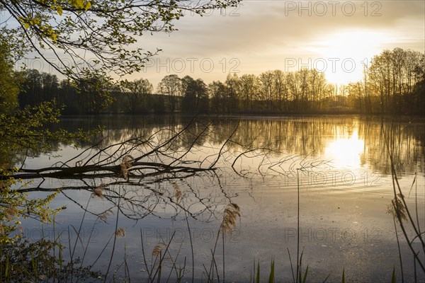 Sunrise at Neuteich