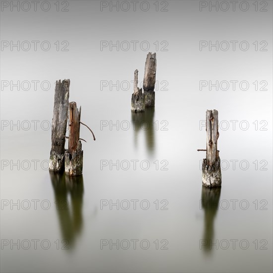 Wooden pile on the Great Jasmund Bodden