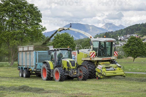 Haymaking