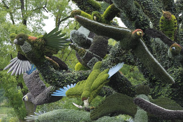 Plant sculpture of birds