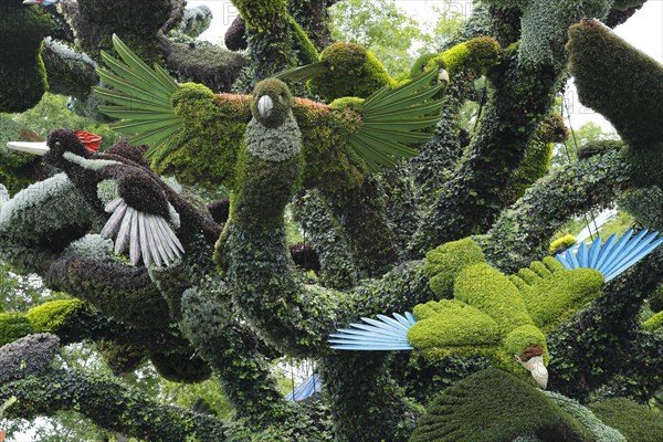 Plant sculpture of birds