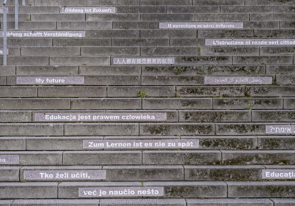 Stairway steps with slogans