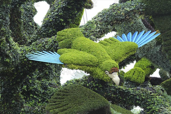 Plant sculpture of birds