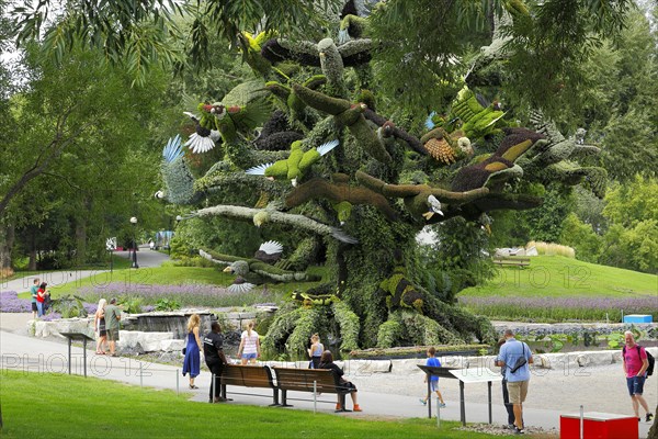 Plant sculpture of birds