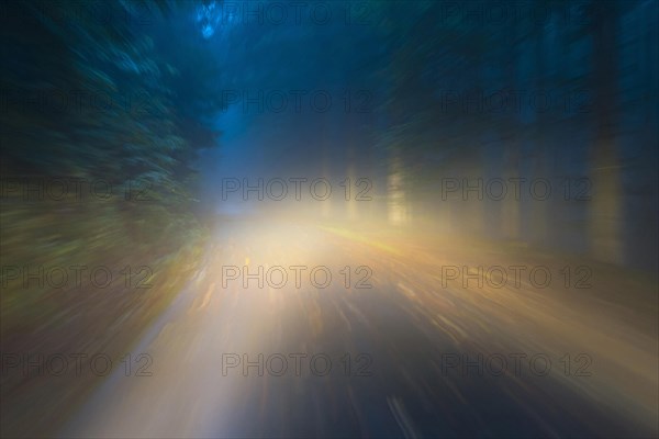 Car driving on autumnal wet road through the forest at dawn