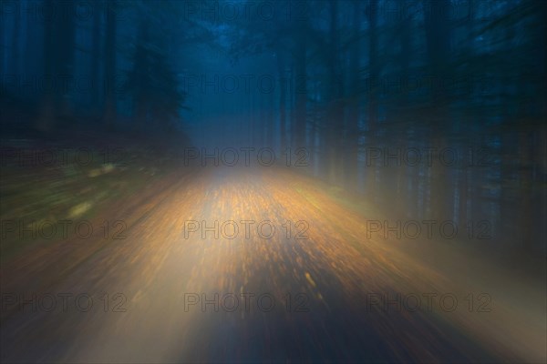 Car driving on autumnal wet road through the forest at dawn