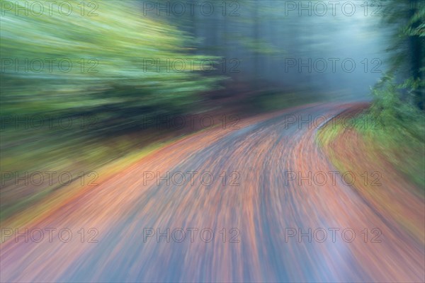 Car driving on autumnal wet road through the forest at dawn