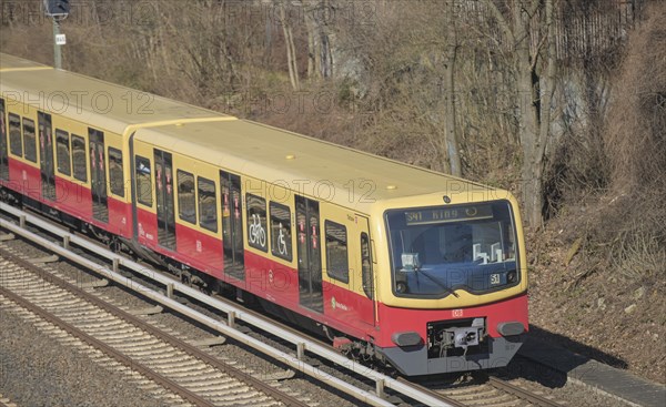 Ringbahn S 41