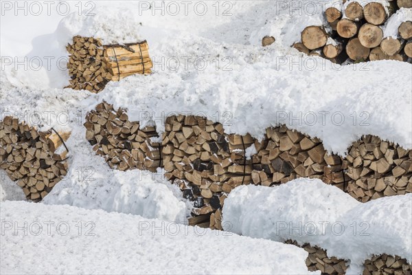 Firewood under snow