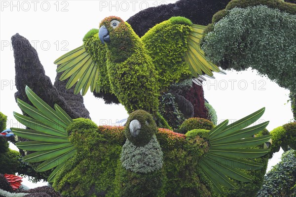 Plant sculpture of birds