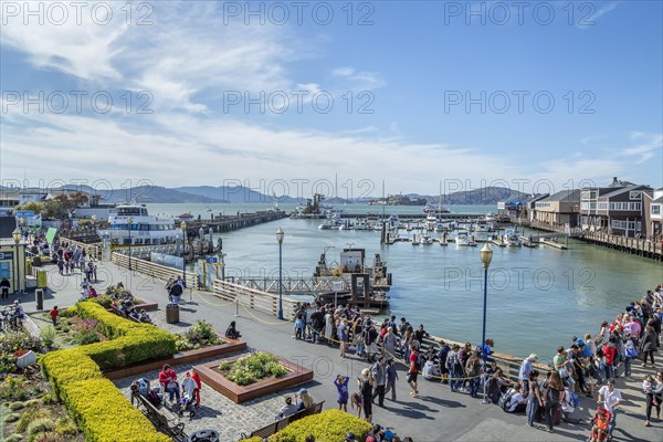 Many tourists visiting pier 39