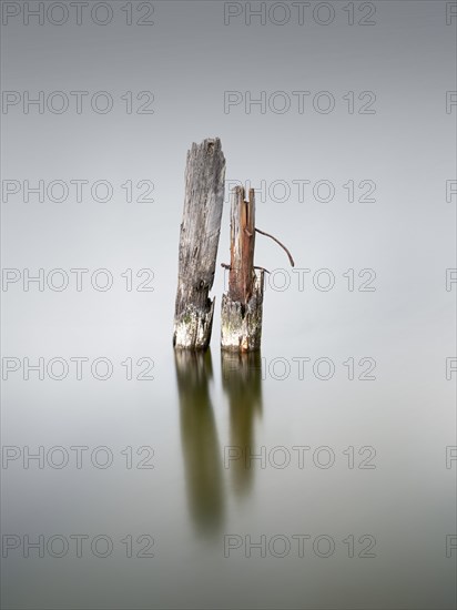 Wooden pile on the Great Jasmund Bodden