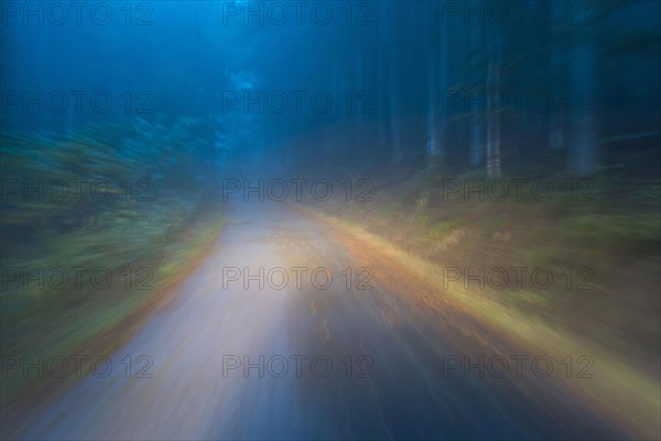 Car driving on autumnal wet road through the forest at dawn