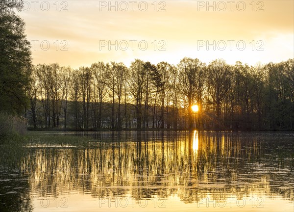 Sunrise at the Mittelteich