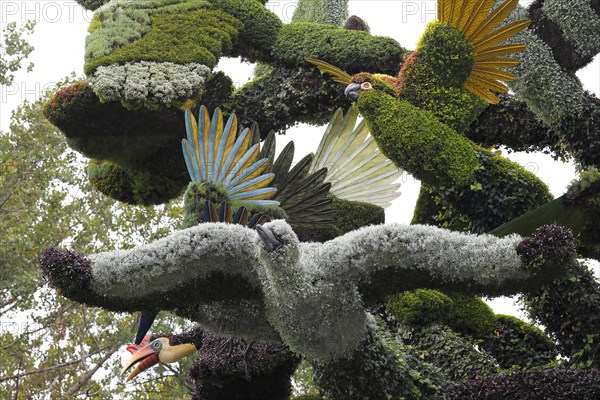 Plant sculpture of birds